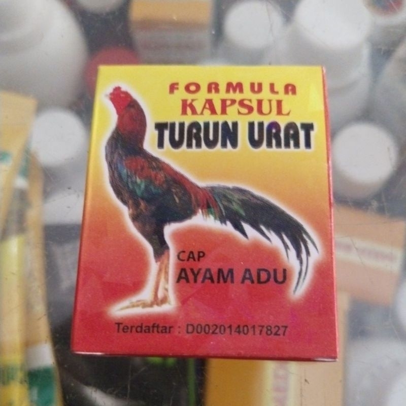 Formula kapsul turun urat ayam adu bangkok