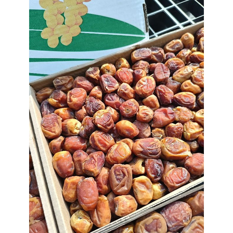 

Kurma Sukari HC 3kg Sukari Al qossim Sukari Al qassim