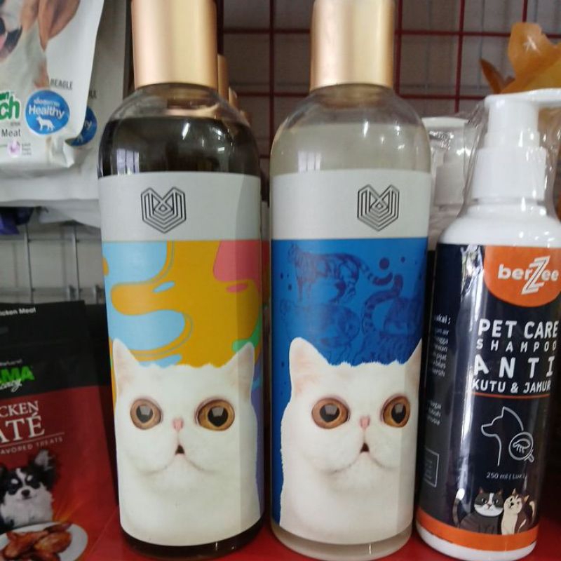 volks shampoo kitten
