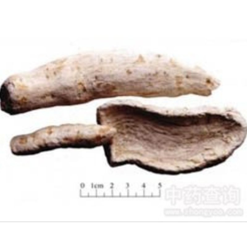 

600 G GR GRAM 天花粉条 TIAN HUA FEN TIAO TRICHOSANTHES ROOT SNAKEGOURD ROOT