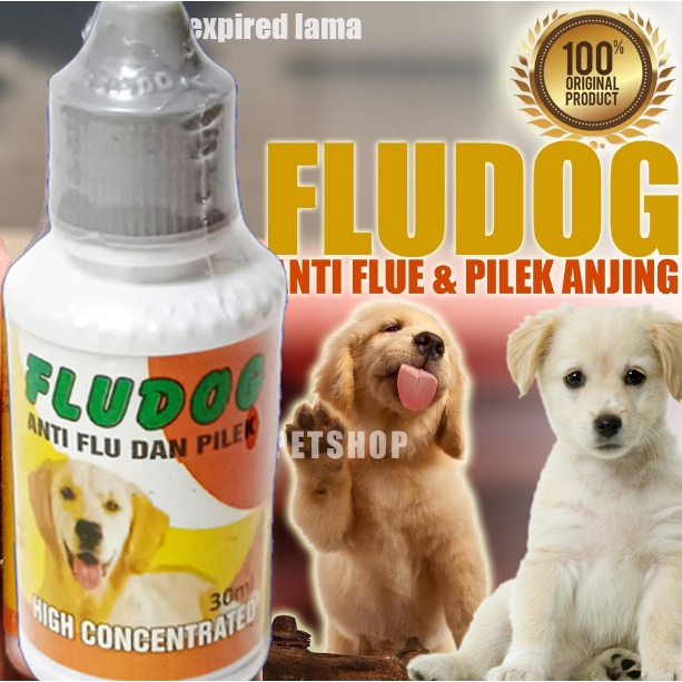 OBAT PILEK ANJING FLU DOG – OBAT FLU ANJING FLUDOG OBAT ANTI FLU ANJING