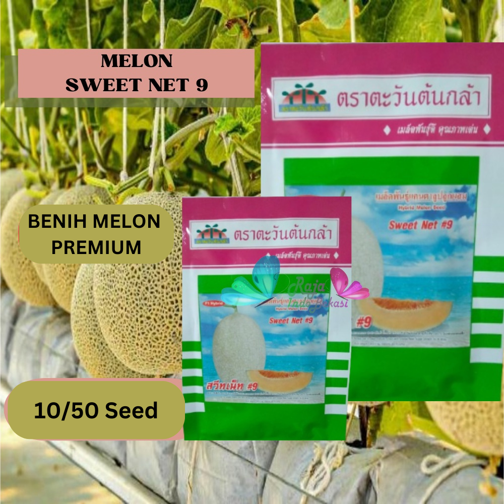 ORi Bijih benih Melon Sweet Net 9 - Repack 10 & 50 Bibit Melon Premium
