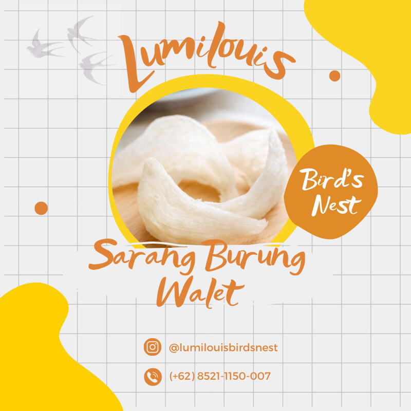 

SARANG BURUNG WALET (BIRD'S NEST)