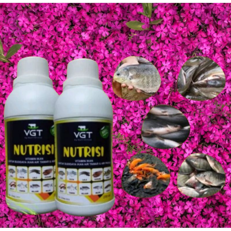 VGT nutrisi ikan