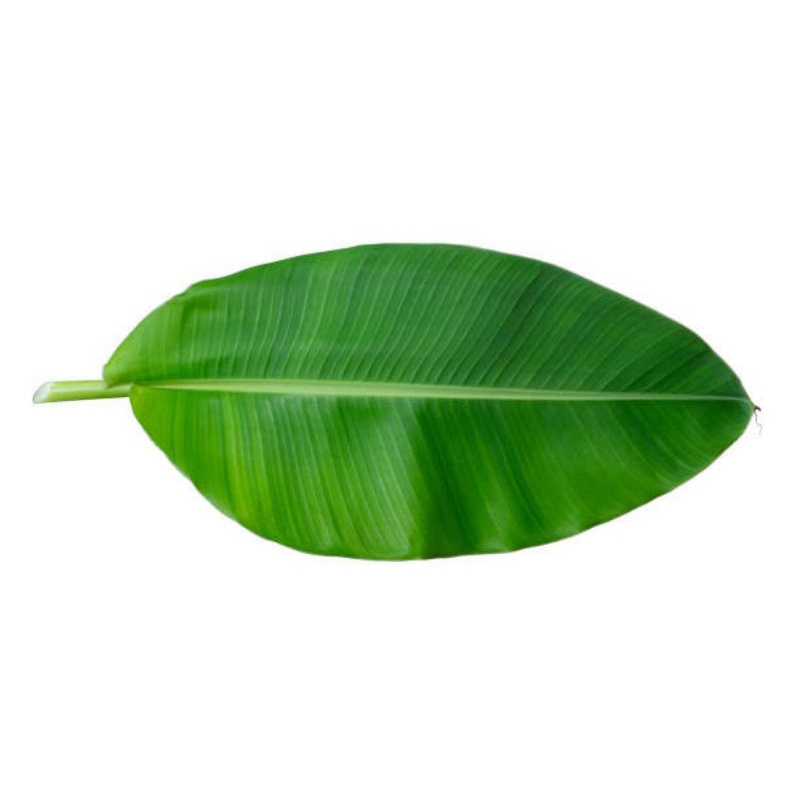 

Daun Pisang