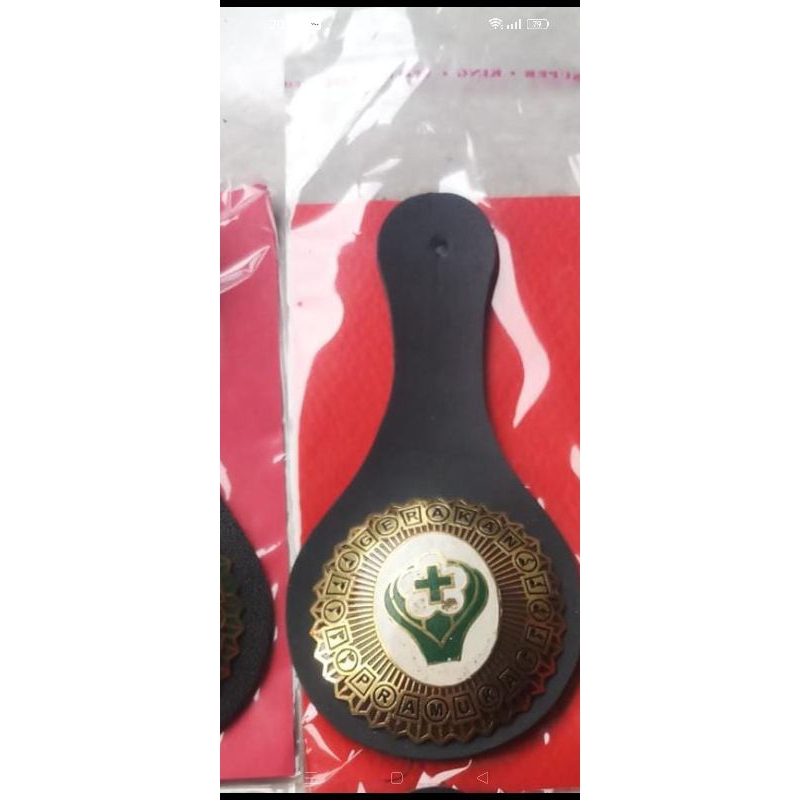 Tanjab pamong saka bakti Husada tumpuk3