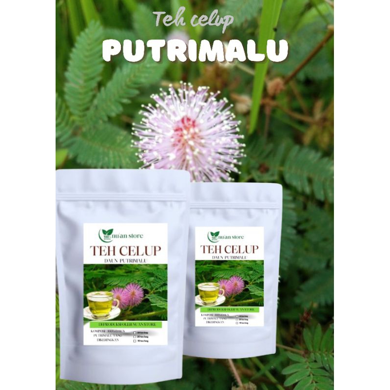 

TEH CELUP HERBAL PUTRI MALU