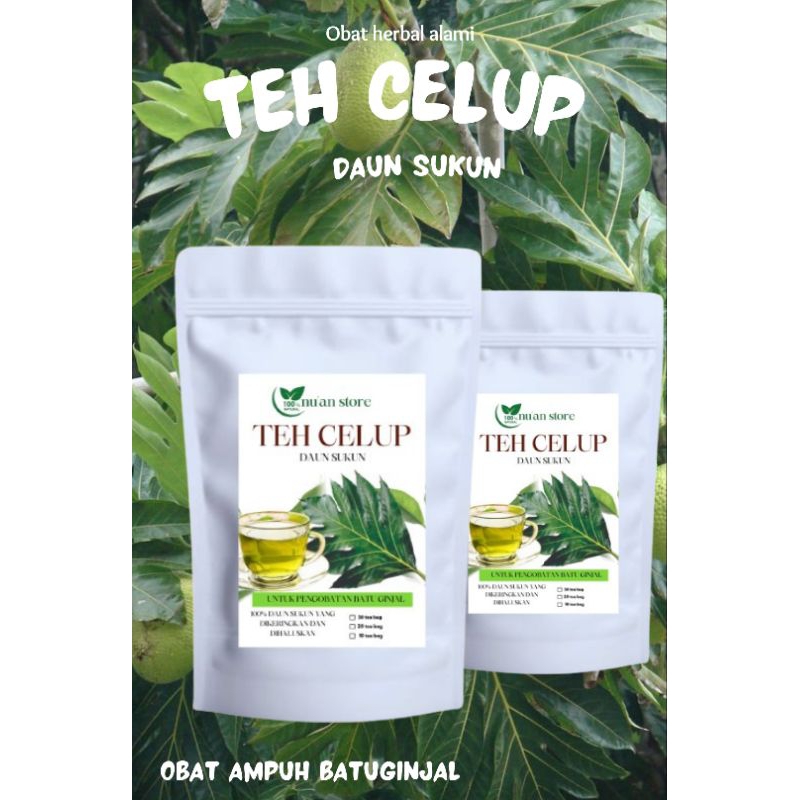 

TEH CELUP DAUN SUKUN UNTUK BATU GINJAL ISI 30 BAG