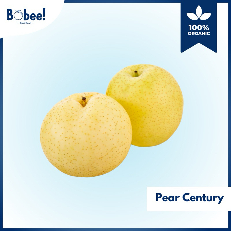 

Buah Pir/Pear Century Fresh & Premium | Bobee.official - (Instant/Sameday)