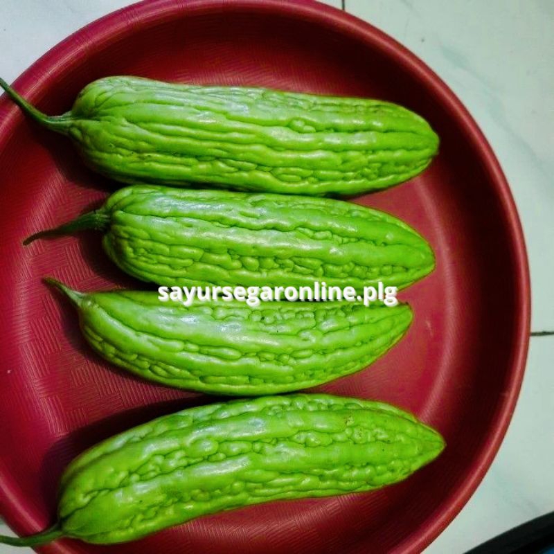 

SAYUR PARE (500 gr) - Sayur Online Palembang