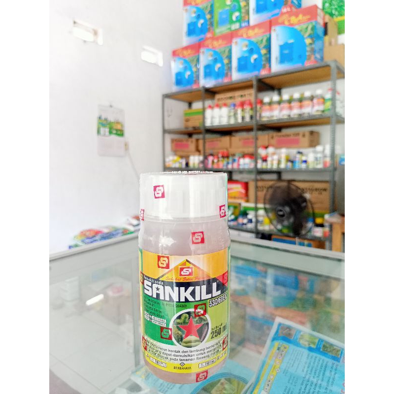 RACUN WALANG SANGIT - INSEKTISIDA SANKILL - 250 ml