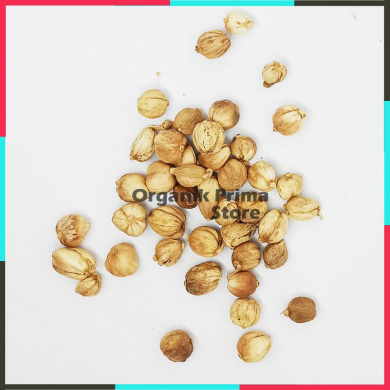 

Kapulaga Jawa Kering Kualitas Super