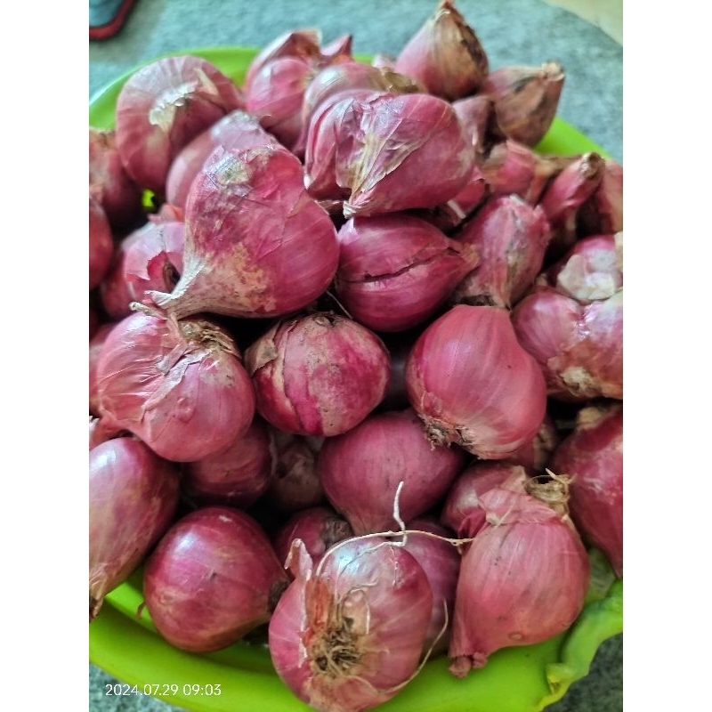

bawangmerah