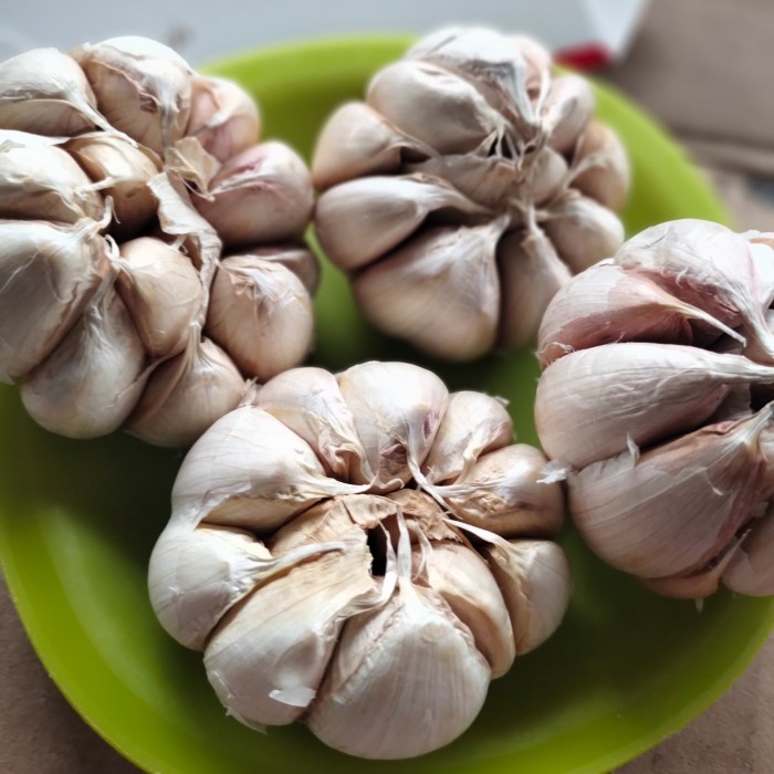 

bawang putih 600gram bisa cod