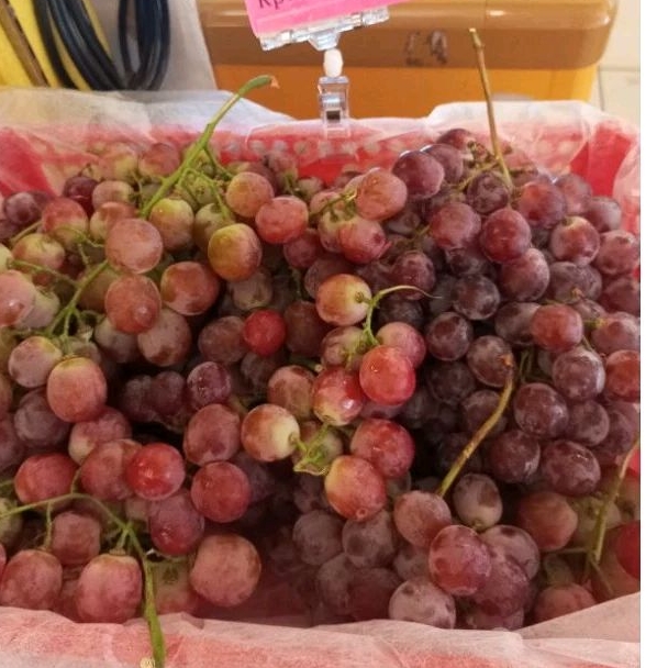 

Anggur Red Globe 1kg