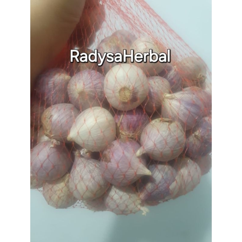 

Bawang putih tunggal /bawang lanang 1kg kualitas super
