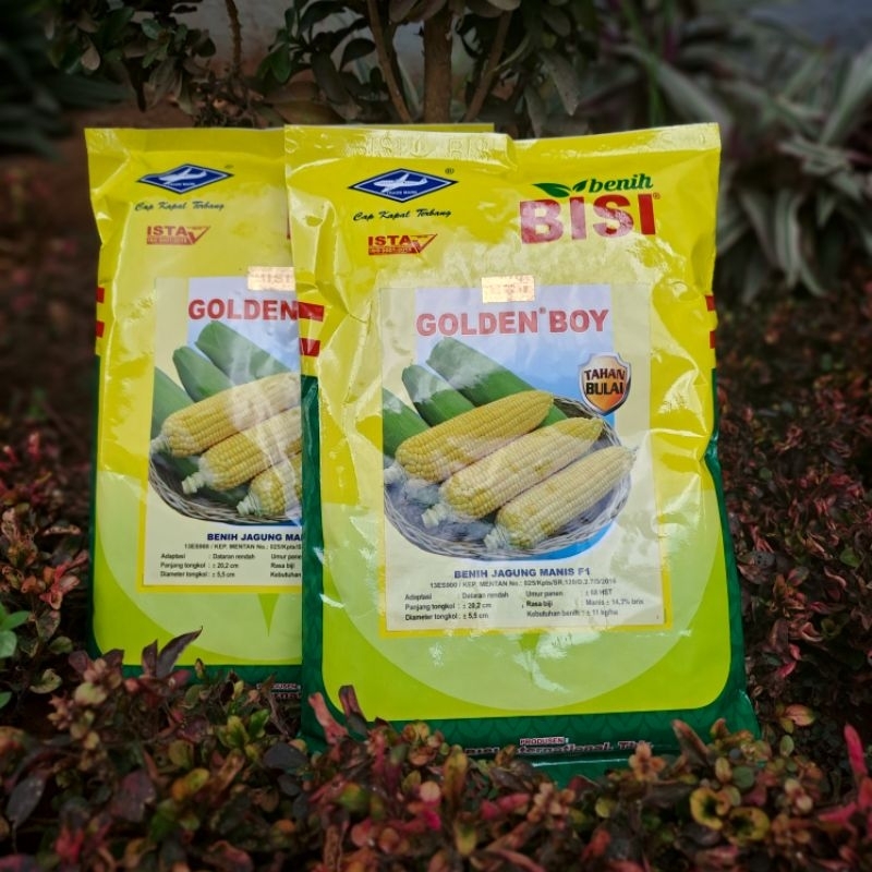 

Benih Jagung Manis Golden Boy F1 500gr