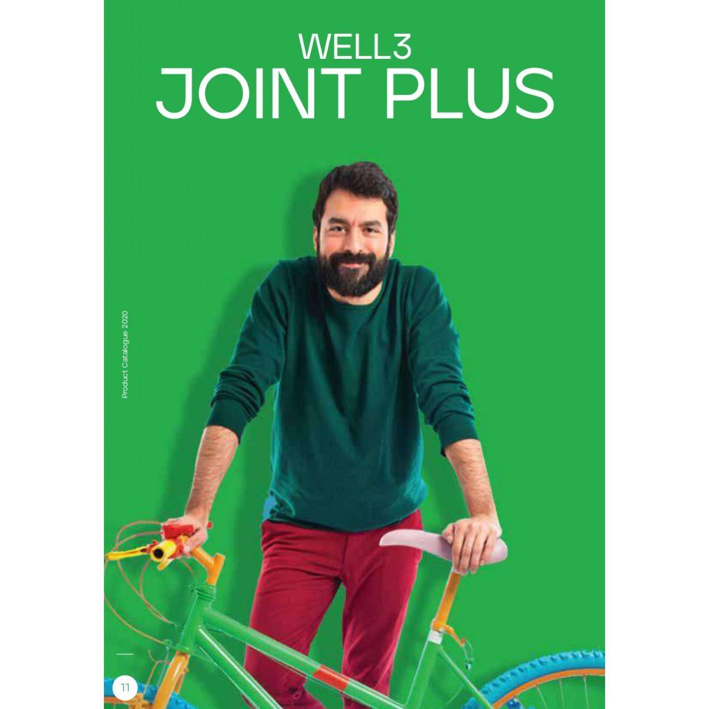 well3 JOINT PLUS cni indonesia