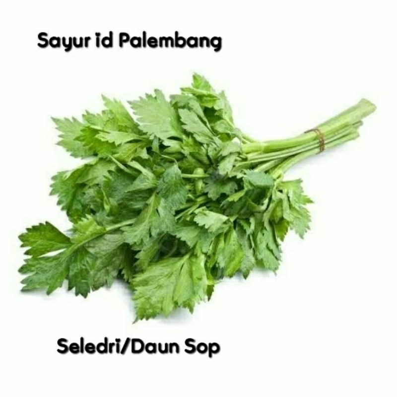 

[ DIKIRIM INSTAN ] Daun SOP Seledri - Sayur id Palembang