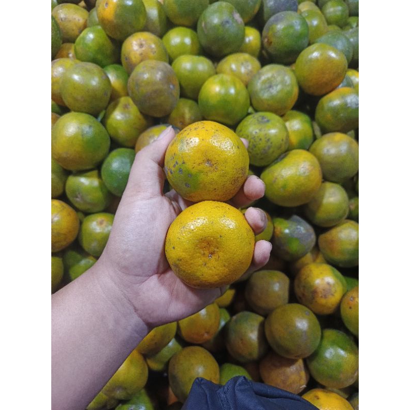 

Jeruk Siem Madu 1kg