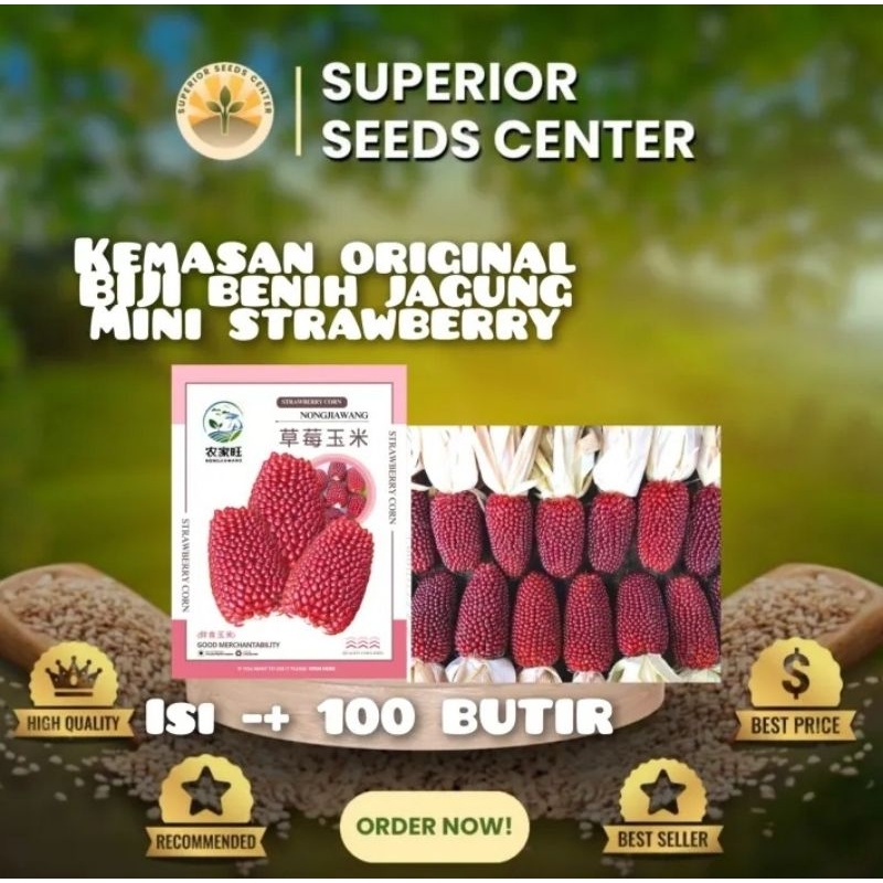 BP kemasan original biji benih jagung mini strawberry impor F1