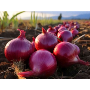 

bawang merah premium 800gram siap kirim