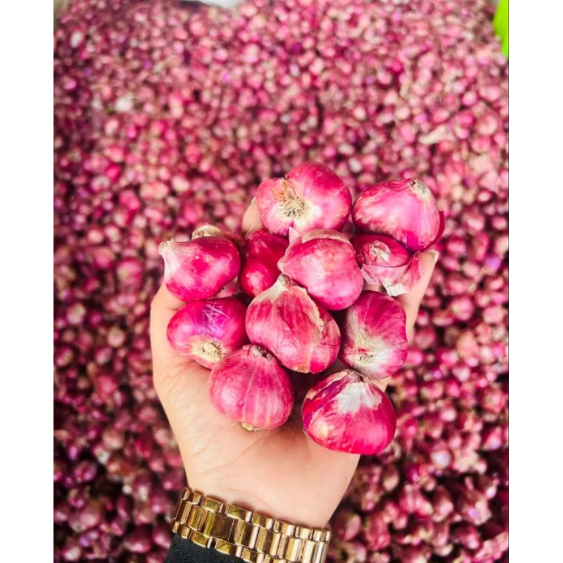 

Bawang merah Super Dorr|bawang merah|SUPER|kualitas terbaik|Besar