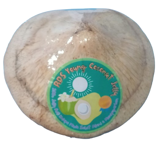 

RDS YOUNG COCONUT JELLY