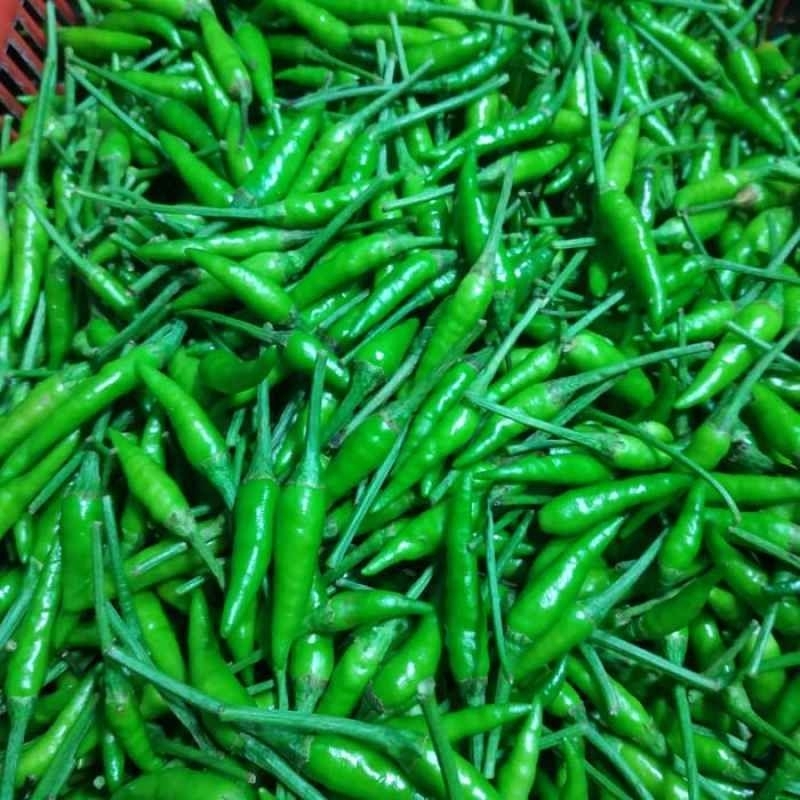 

Cabe Rawit Hijau Fresh Bandung