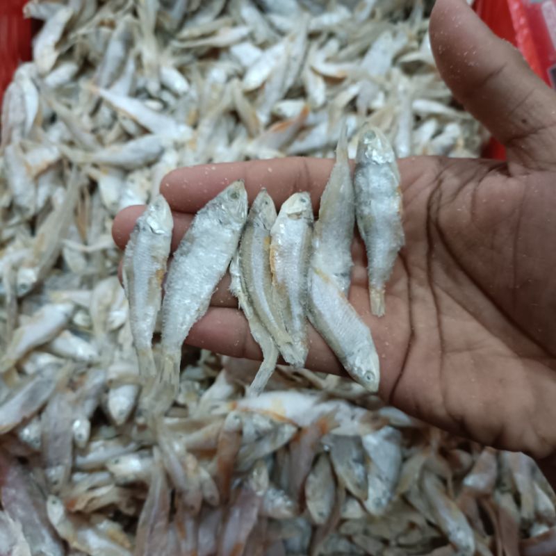 

Ikan asin buluayam,ikan asin bilis kecil 1kg