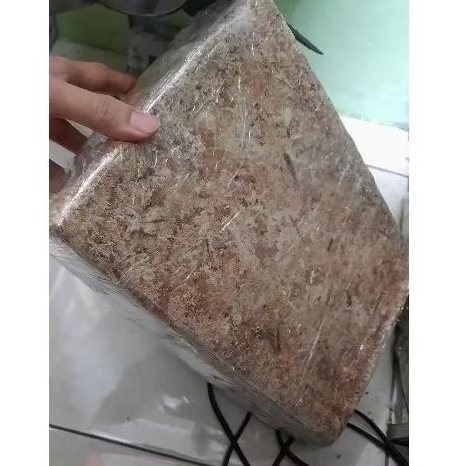 Media Tanam Moss Chile Import Spagnum Spaghnum Sphagnum 1kg