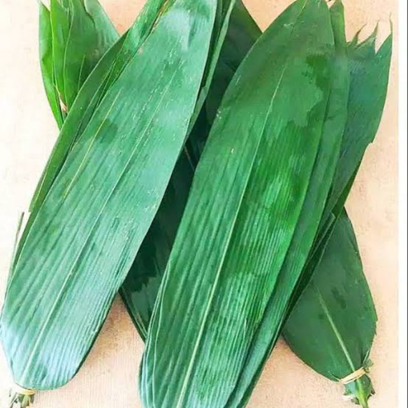 

daun bambu fresh 100 lembar