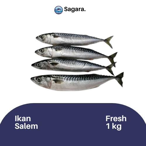 

Ikan Salem Kiloan Bandung - 1kg