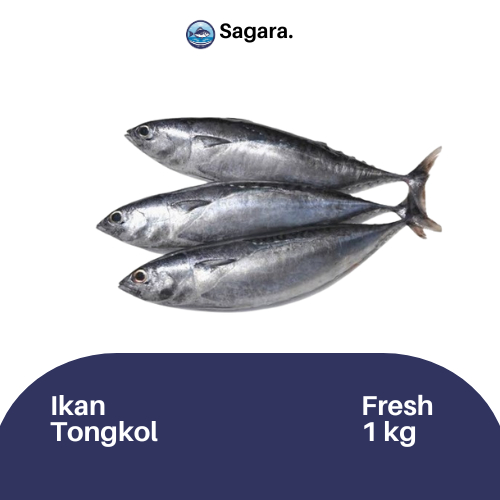 

Ikan Tongkol Kiloan Bandung