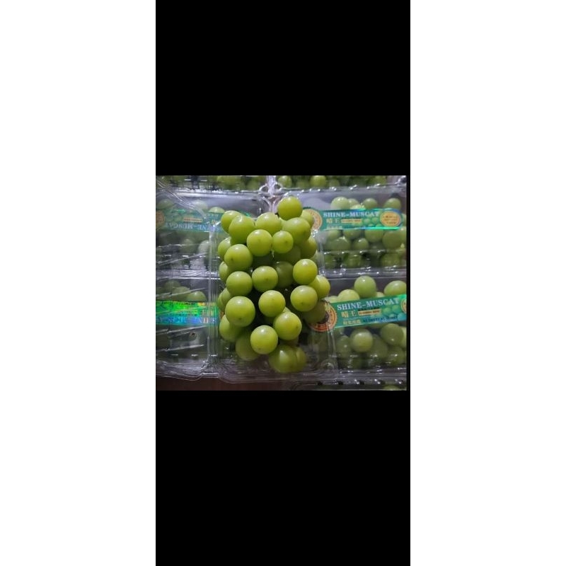 

Anggur Muscat 500gr