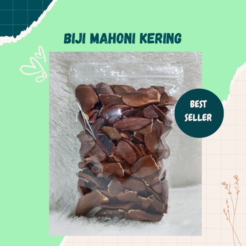 

Biji Mahoni Kering Asli 100 gram Herbal Organik