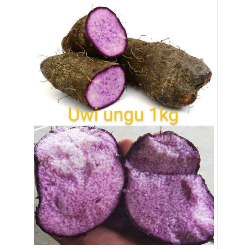 

uwi ungu 1kg / ubi ungu 1kg asli Tuban