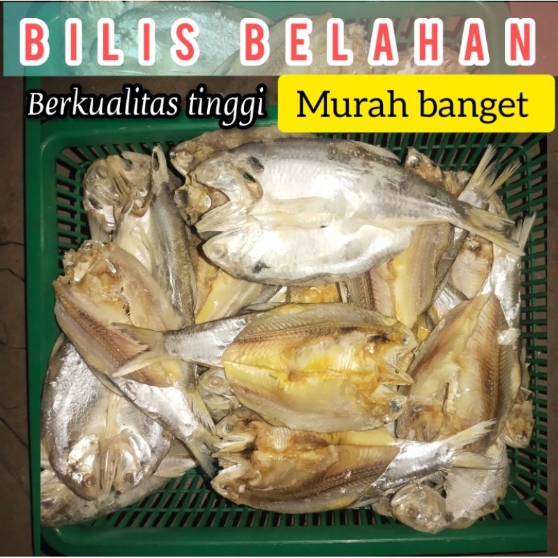 

Ikan Asin Belahan Bilis 1 kg Enak Dan Gurih