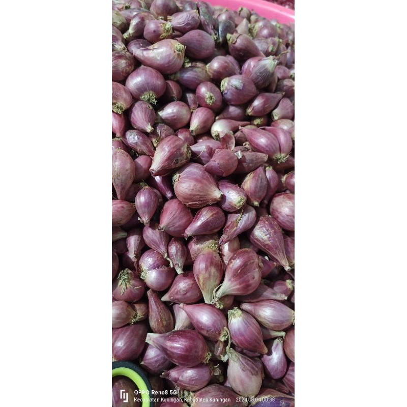 

Bawang Merah Asli Berbes Dengan Berat Bersih