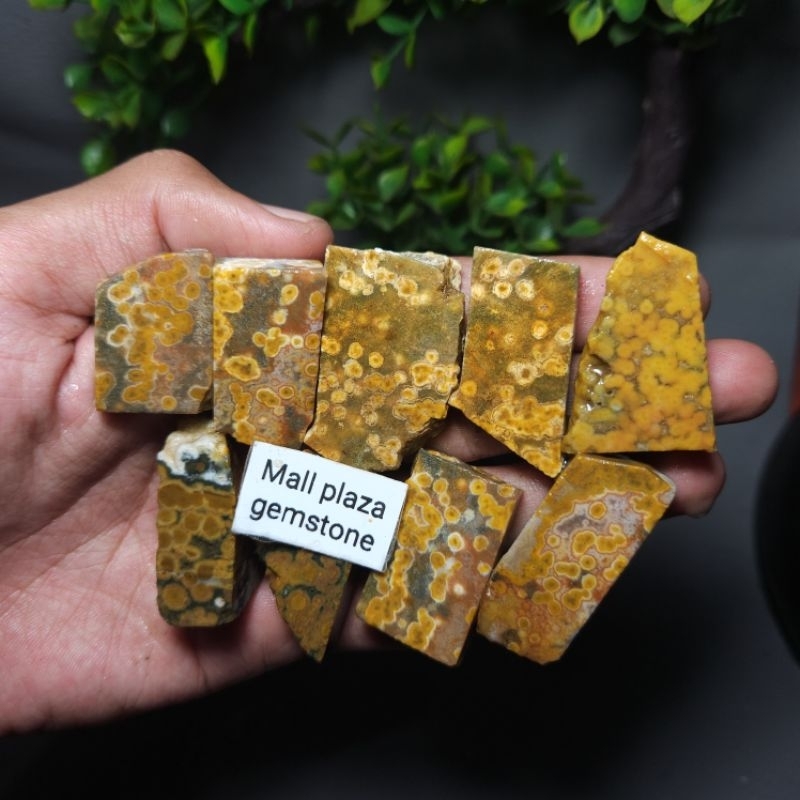 batu telor kodok unik antik / batu ocean jasper unik antik