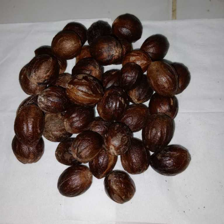 

Biji Pala