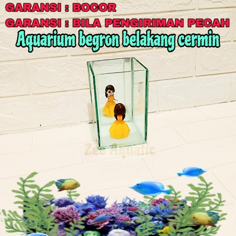 Aquarium Begron Belakang Cermin Akuarium Kaca Tebal 5 Mili Solitaire Cupang