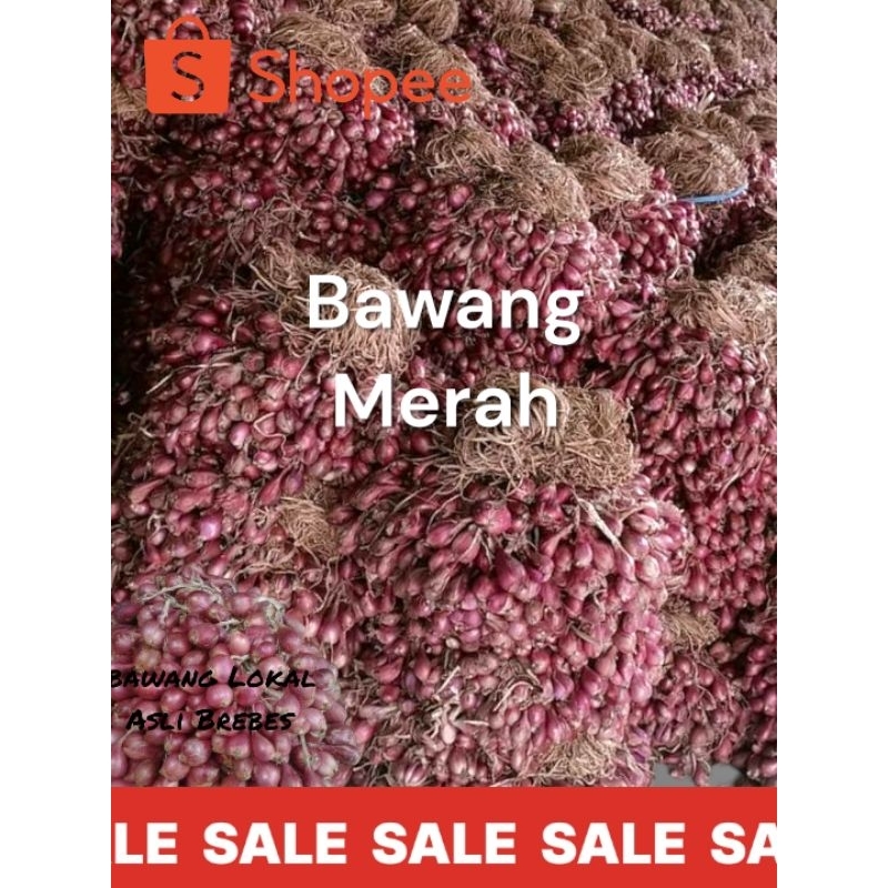 

BAWANG MERAH ASLI BREBES ISI 1/2 KG // BAWANG MERAH BREBES ISI 500 GRAM // BAWANG MERAH BREBES // BRAMBANG BREBES