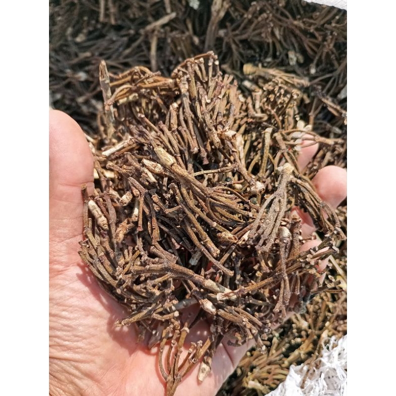 

Gagang cengkeh / pakang cengkeh / gagang cengkih / pakang cengkih ( berat 1 kg)/ herbal