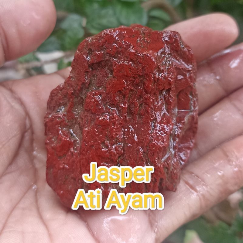 Batu Jasper Ati Ayam