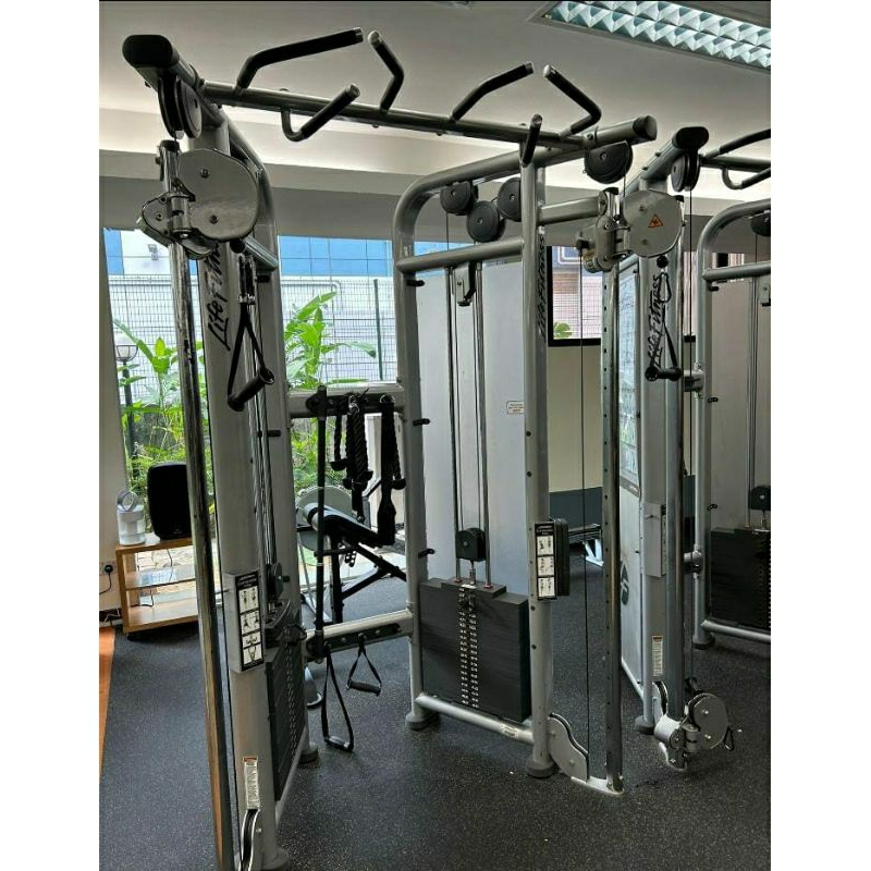 life fitness miniatur eubioz