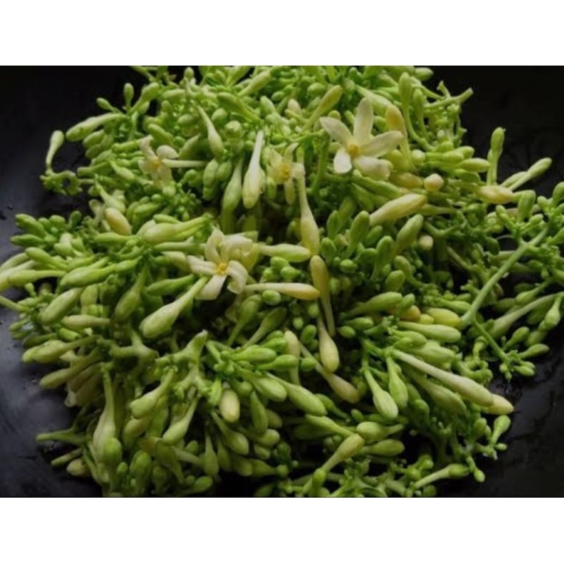 

kembang pepaya