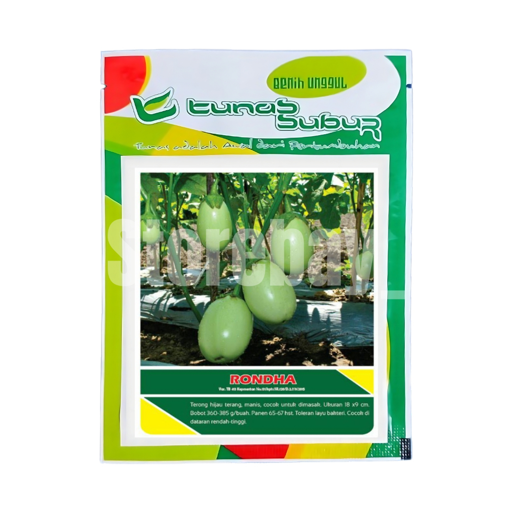 TUNAS SUBUR Benih Terong Hijau RONDHA 10 Gr