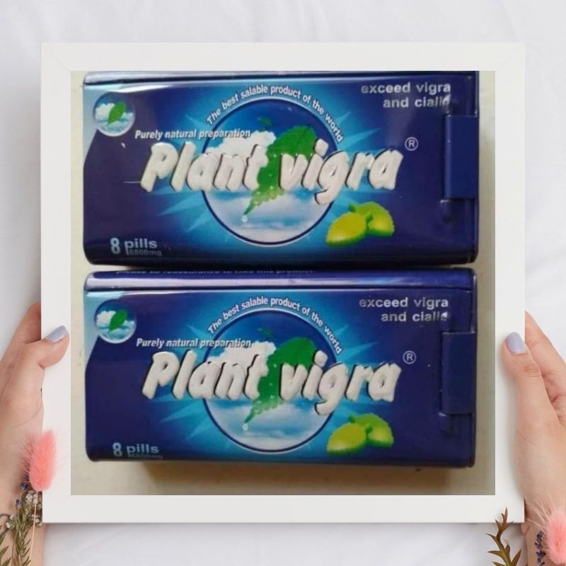 PLANT VIGRA ASLI ORIGINAL ISI 8 BUTIR MENAMBAH STAMINA PRIA OBAT HERBAL VITALITAS TAHAN LAMA KUAT