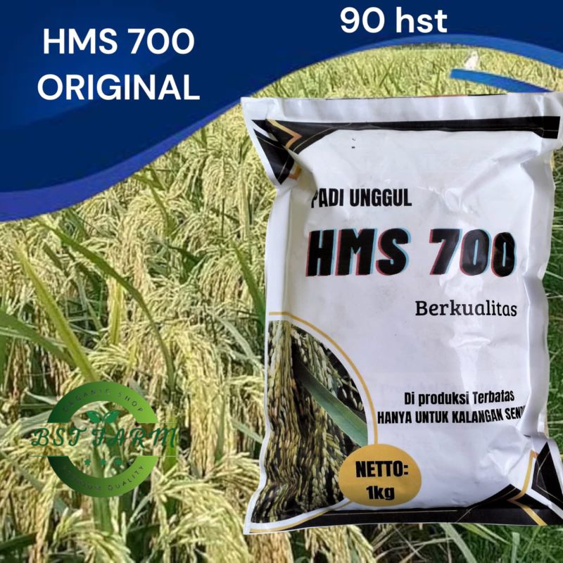 Benih padi HMS 700 ORIGINAL 1 kg bibit padi Unggul